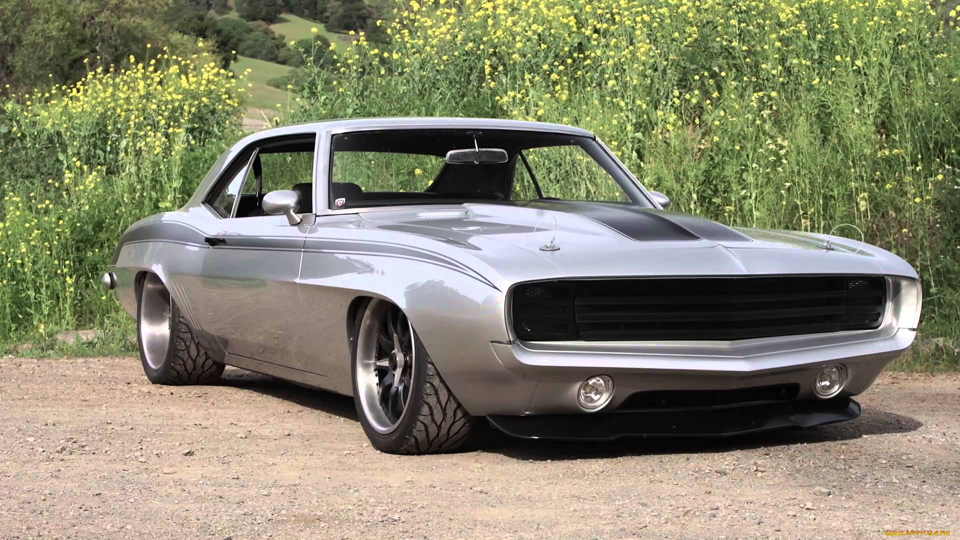 , camaro